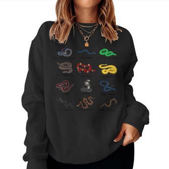 Different Types Of Snakes Boys Girl Educational Serpent Women Sweatshirt - Seseable