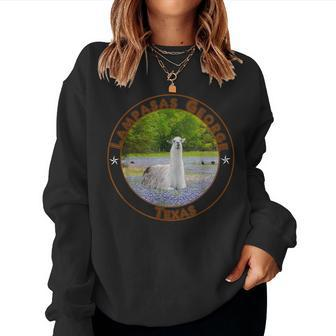 Lampasas George The Llama In A Field Of Texas Bluebonnets Women Sweatshirt - Monsterry CA
