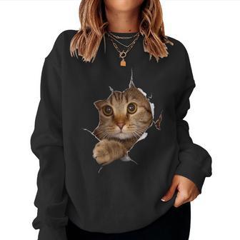 Sweet Kitten Torn Cloth Cat Lover Cat Owner Cat Lady Women Sweatshirt - Thegiftio UK