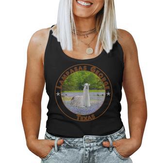 Lampasas George The Llama In A Field Of Texas Bluebonnets Women Tank Top - Monsterry AU