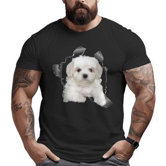 Cute Maltese Torn Cloth Maltese Lover Dog Owner Puppy Big and Tall Men T-shirt | Mazezy