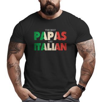 Italian Papa Best Papas Are Italian Flag Big and Tall Men T-shirt | Mazezy