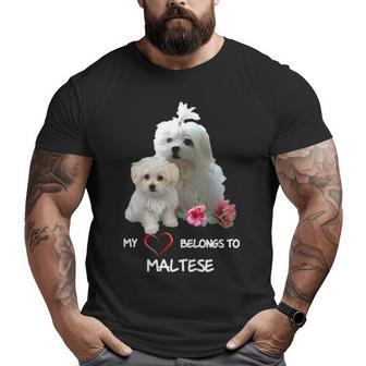Maltese Dog Heart Belongs Maltese Puppy Big and Tall Men T-shirt | Mazezy