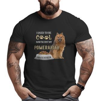 Pomeranian Dog Owner Quote Loves Dad Big and Tall Men T-shirt | Mazezy