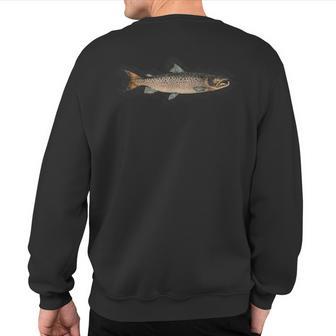 Atlantic Salmon Vintage Illustration Da Vinci Style Fishing Sweatshirt Back Print - Monsterry AU