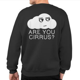 Are You Cirrus Clime Change Cloud Sweatshirt Back Print - Monsterry CA