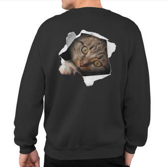 Stunning Tabby Cat Torn Cloth Cat Lovers Kitten Sweatshirt Back Print - Monsterry AU