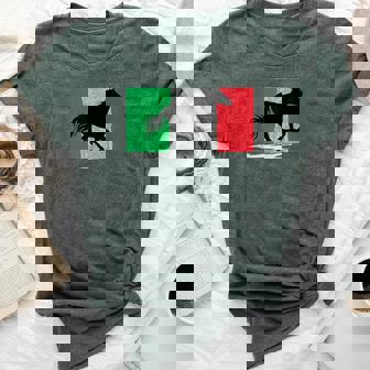 Italian Flag Stallion Italy Horse Culture Pride Bella Canvas T-shirt - Monsterry