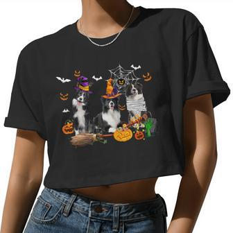 Dog Border Collie Three Border Collie Dogs Mummy Witch Scary Pumpkins Kids Women Cropped T-shirt - Monsterry UK