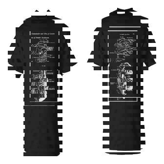 Anatomía Del Cerebro Humano Diagrama Del Cerebro Neurocirujano Gráfico Camiseta unisex - Regaloses