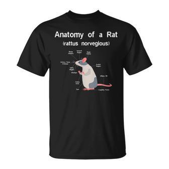 Anatomy Of Pet Rat T Divertida Para Roedores De Ratas Camiseta unisex - Regaloses