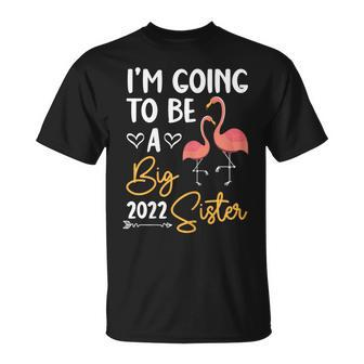 Become Big Sister 2022 Flamingo Pink Big Sis T-Shirt - Monsterry UK