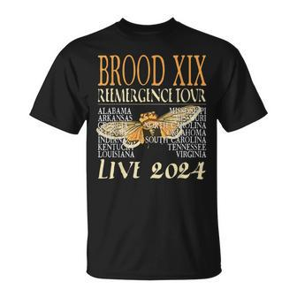 Brood Xix Reemergence Tour 2024 Periodical Cicada Concert T-Shirt - Monsterry AU