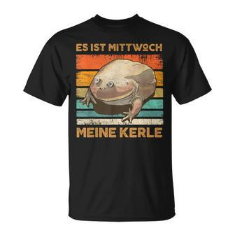 Es Ist Mittwoch Meine Kerle Wednesch Frog Meme T-Shirt - Seseable