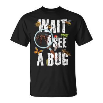 Insects Of The World Bug Lover Expert Entomologist Bugs Fan T-Shirt - Monsterry AU