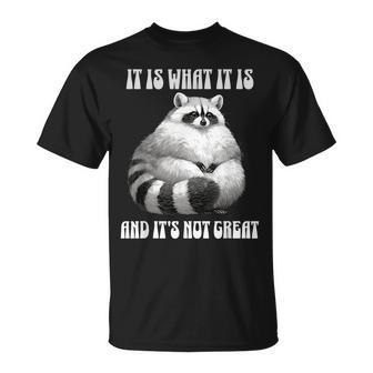 It Is What It Is And Its Not Great Racoon Vintage Meme T-Shirt - Monsterry