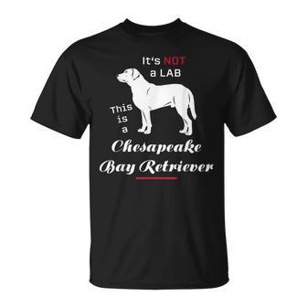 It's Not A Lab This Is A Chesapeake Bay Retriever T-Shirt - Monsterry DE