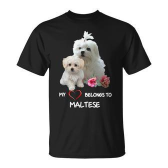 Maltese Dog Heart Belongs Maltese Puppy T-Shirt | Mazezy