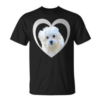 Maltese Maltese Dog Maltese T-Shirt - Seseable