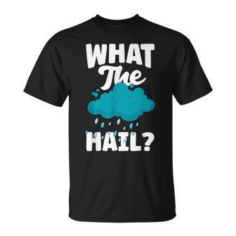 Meteorology Weathercaster Meteorologist What The Hail T-Shirt - Monsterry CA