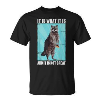 It Is What It Is And It Is Not Great Raccoon Meme T-Shirt - Monsterry DE