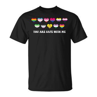 Proud Ally You Are Safe With Me Pride Month Lgbtq T-Shirt - Monsterry AU