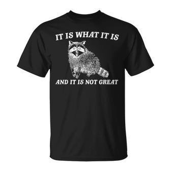 Raccoon It Is What It Is And It Is Not Great T-Shirt - Seseable