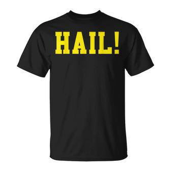 State Of Michigan Hail U M Ann Arbor Mi Aa T-Shirt - Monsterry UK
