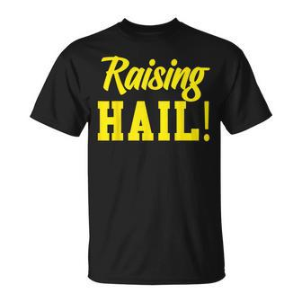 State Of Michigan Raising Hail U M Ann Arbor Mi Aa T-Shirt - Monsterry UK