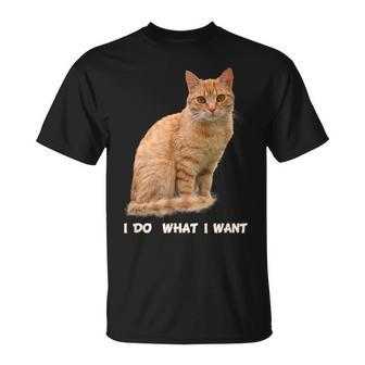 I Do What I Want Orange Tabby Cat Lovers T-Shirt - Monsterry CA