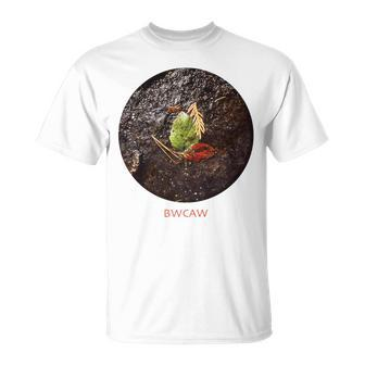 Boundary Waters Canoe Area Wilderness Bwcaw 142Pt T-Shirt - Monsterry