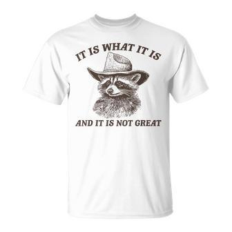 Raccoon It Is What It Is And It Is Not Great T-Shirt - Seseable