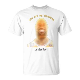 James Meme You Are My Sunshine Joke For And Women T-Shirt | Mazezy