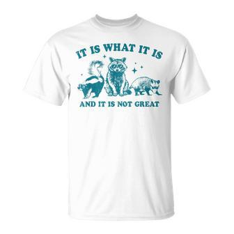 It Is What It Is And It Is Not Great Raccoon Trash Panda T-Shirt - Seseable