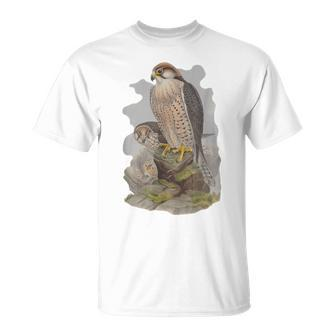 Vintage Falcon Scientific Drawing Falconry Lanner T-Shirt - Monsterry AU