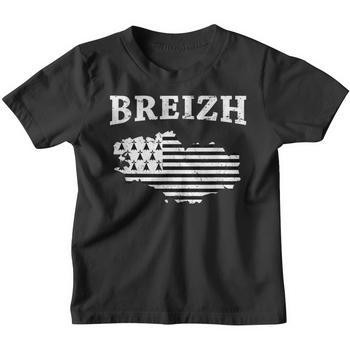 Sweat à Capuche Vintage Breton "Breizh" - Cadeau Fierté Bretagne Pour Homme Et Femme - 3