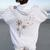 Basset-Hound Dandelion Flower Basshole Dog Mom Women Women Oversized Hoodie Back Print White