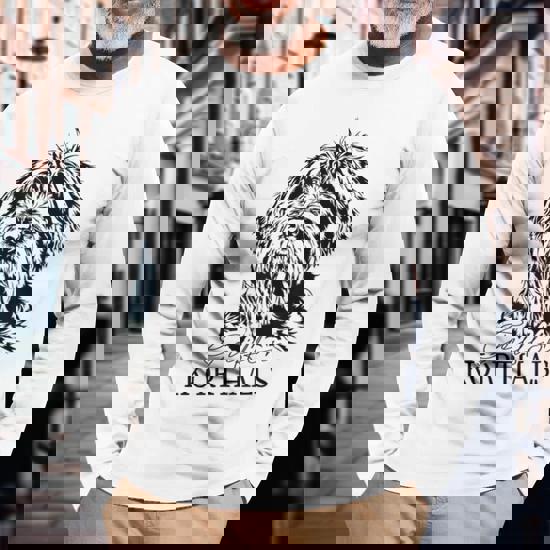 Griffon Korthals - Chien - Un Chien De Chasse Et De Korthal Un Chien Populaire Utilise Comme Gundog En Europe Mp6cpk