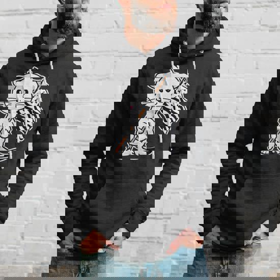 Pourquoi L’hermine Est-elle Le Symbole De La Bretagne