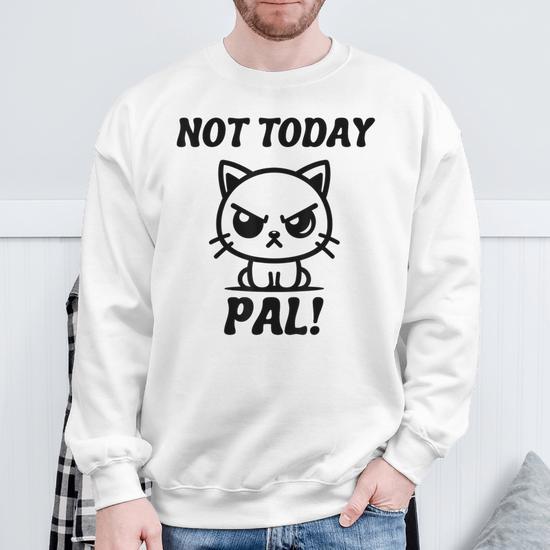 Pas Aujourd hui Mon Pote Angry Cat Kitten Grumpy Sweater e Cadeauxyz