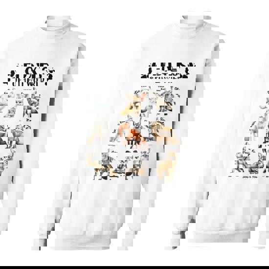 Foxes Of The World Educational Collection Fox Types Animal Sweatshirt |  Mazezy