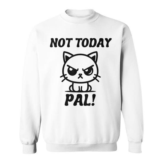 Pas Aujourd hui Mon Pote Angry Cat Kitten Grumpy Sweater e Cadeauxyz