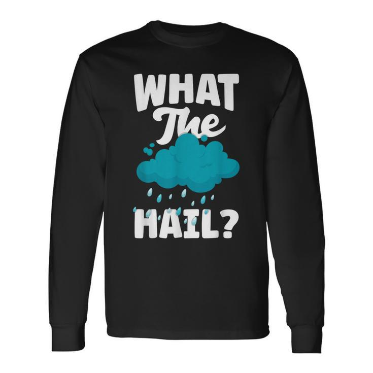 Meteorology Weathercaster Meteorologist What The Hail Long Sleeve T-Shirt