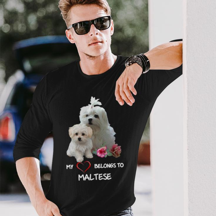 Maltese Dog Heart Belongs Maltese Puppy Long Sleeve T-Shirt Gifts for Him
