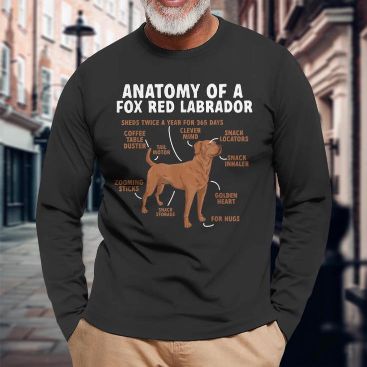 Anatomy Of A Fox Red Labrador Retriever Foxred Lab Long Sleeve T-Shirt Gifts for Old Men