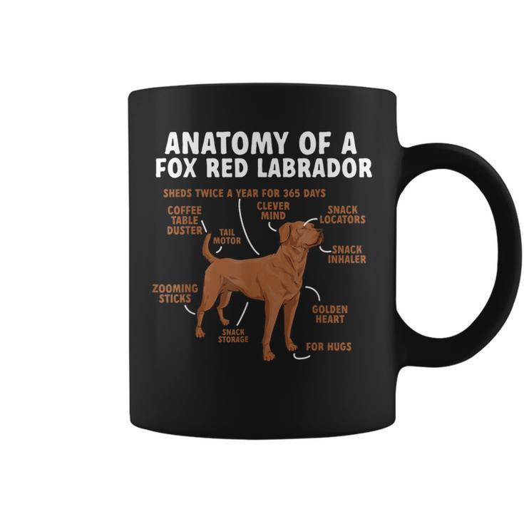 Anatomy Of A Fox Red Labrador Retriever Foxred Lab Coffee Mug