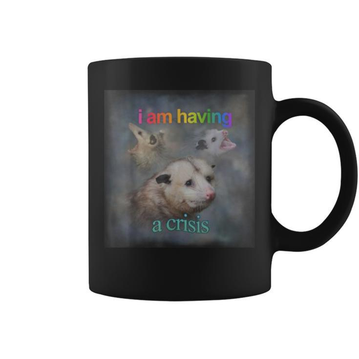 I Am Having A Crisis Possum Coffee Mug