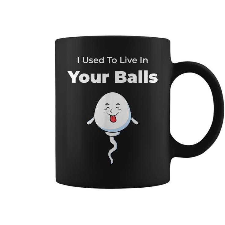 I Used To Live In Your Balls Silly Father's Day Coffee Mug
