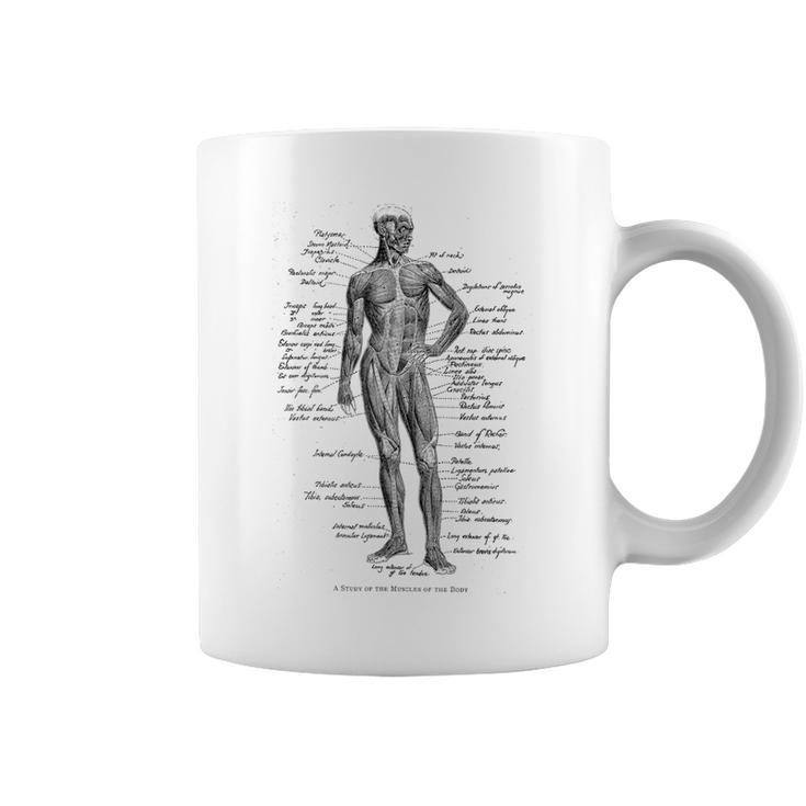 Human Muscle Anatomy Idea Coffee Mug