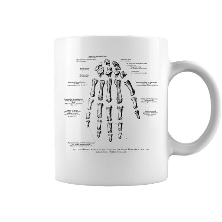 Vintage Anatomy Bones Of The Right Hand Coffee Mug